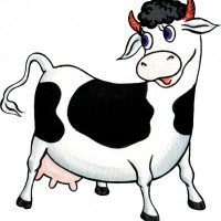 Коровьи сыры - Сырная фея - Изысканные сыры от российских сыроваров